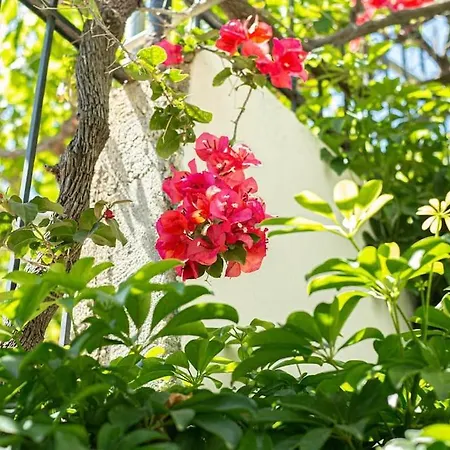 Blue Maraci 4 - Access, Simple Apartamento