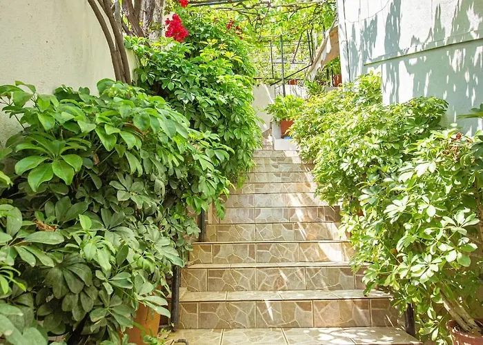 Blue Maraci 4 - Access, Simple Himara