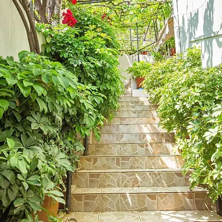 Blue Maraci 4 - Access, Simple Himare