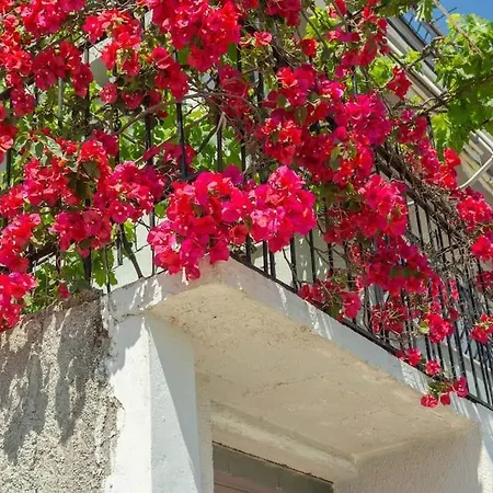 Blue Maraçi 4 - Access, Simple Daire