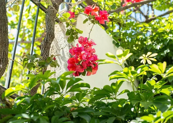 Blue Maraçi 4 - Access, Simple Daire