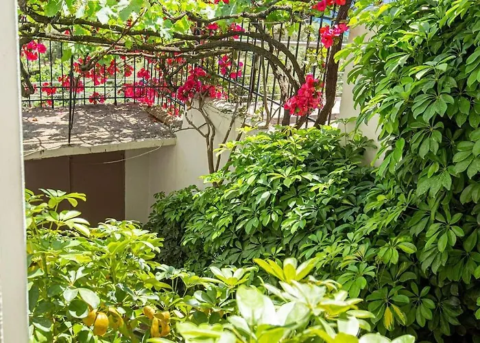 Blue Maraci 4 - Access, Simple